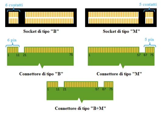 Socket e connettore degli SSD M.2